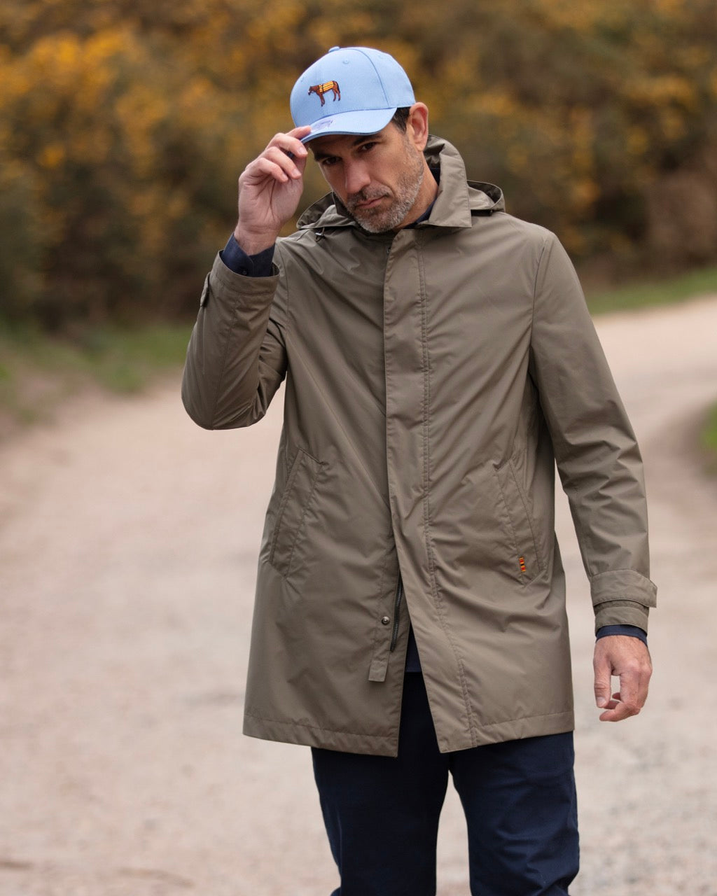 Galopin Olive