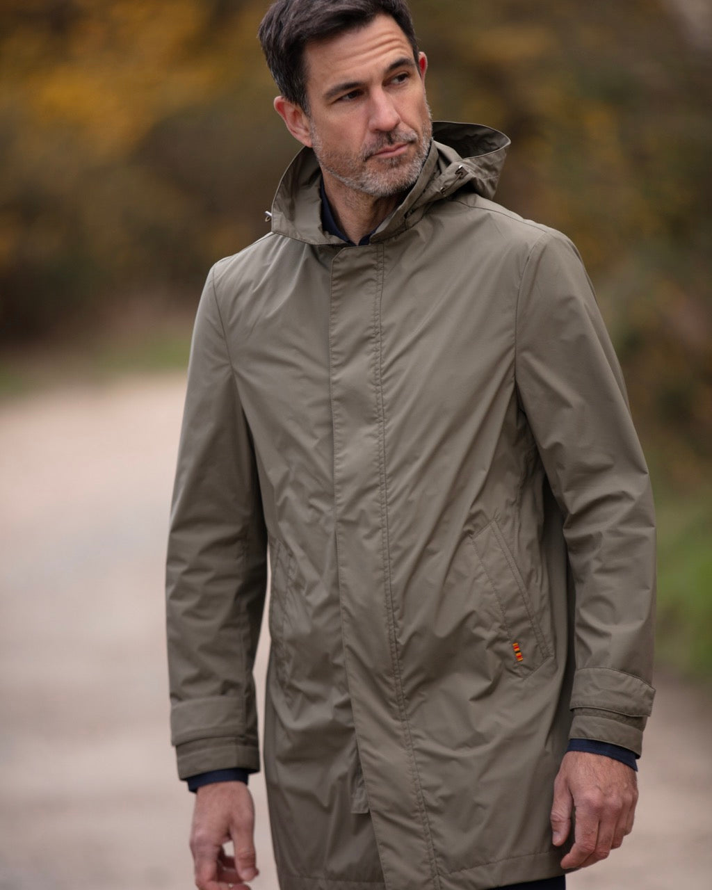 Galopin Olive
