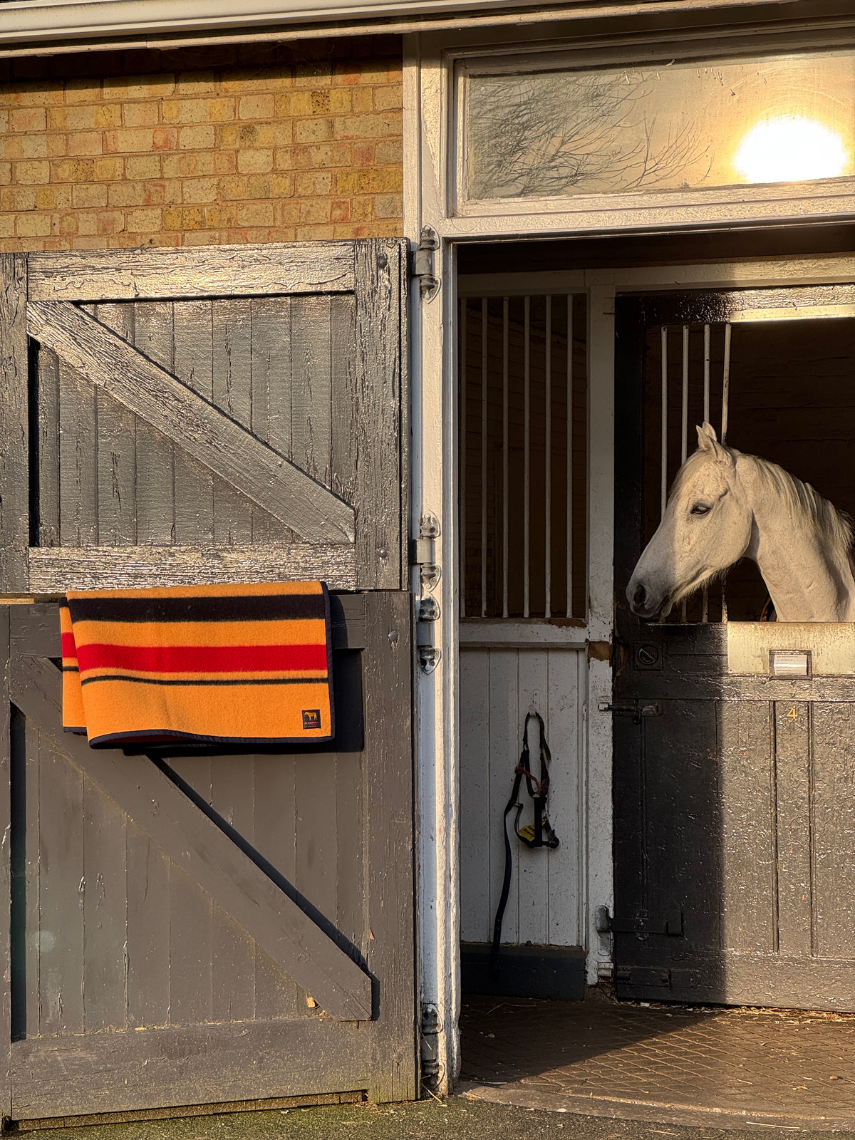 Signature Newmarket Blanket
