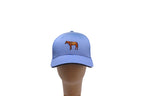 Cap Sky Blue with Newmarket Stripe