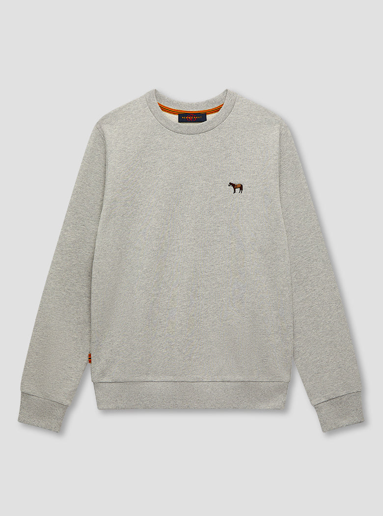Children's Grey Sweatshirt