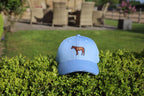 Cap Sky Blue with Newmarket Stripe